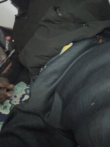 Zdjęcia DangoD215 Public: 