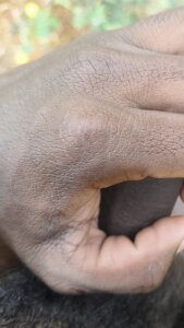 Hot_BoyDick-Telugu Public Hình 4