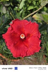 67sanju Public Fotka 3