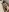 Fuck me BDSM⛓️🍑🔞 de Lookhatmefvs  8 photos
