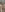 SelenaNewolf naked for u Foto 5