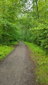 EasterHatter first warm day oj July Pic 2