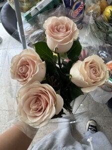 Flowers that my users have given me, I love them, thank you. ❤️ de kaithra  photos