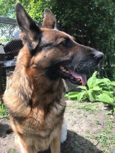 RitaRey My Jessica Pic 2