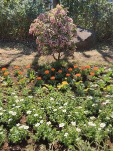 UTATANE_Public图片 5