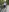SunriseGuys Miniskirt and Heels in Park Summer 2023 Photo 5