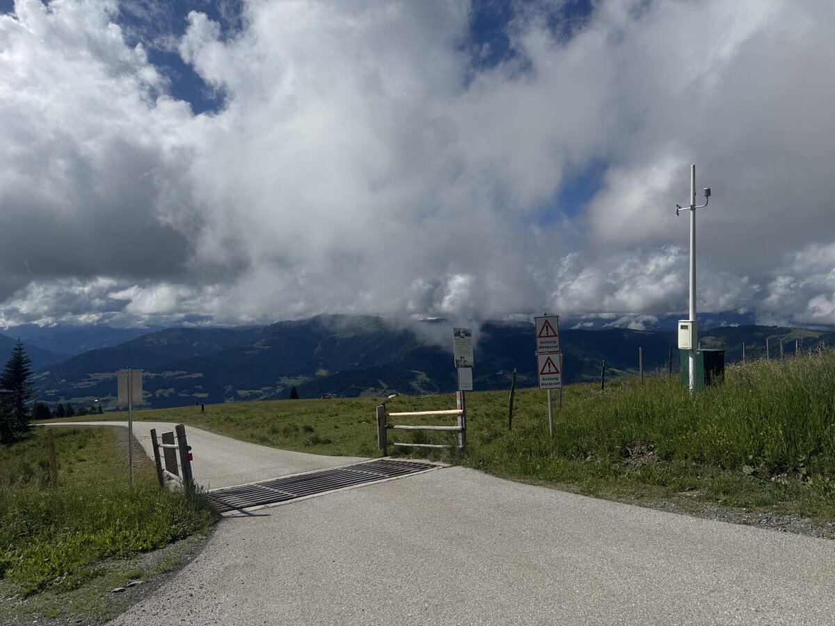 Трендове зображення  9494 Gabriel892619