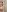 sukhakunis1 I love it when you fuck me in the shower Pic 7