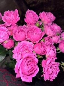 evaharvethanks @NorthernKnightOfEvlampia :з :з :з Bild 2