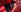 dominatrixx_venus sexy venus♥ Pic 4
