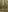 you_desire Light erotica in the forest Pic 6
