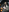 MelodyLoveClubHalloween 2024照片 6