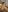 AmandaWesson Naked body Pic