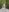 eyesthatsparkle22 Naked in the forests photoshoot ☺️ Fotografie 9
