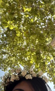 Nammoth Public Pic 8