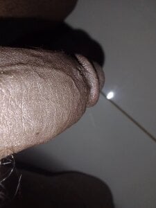 dicksosmall Public Pic 2