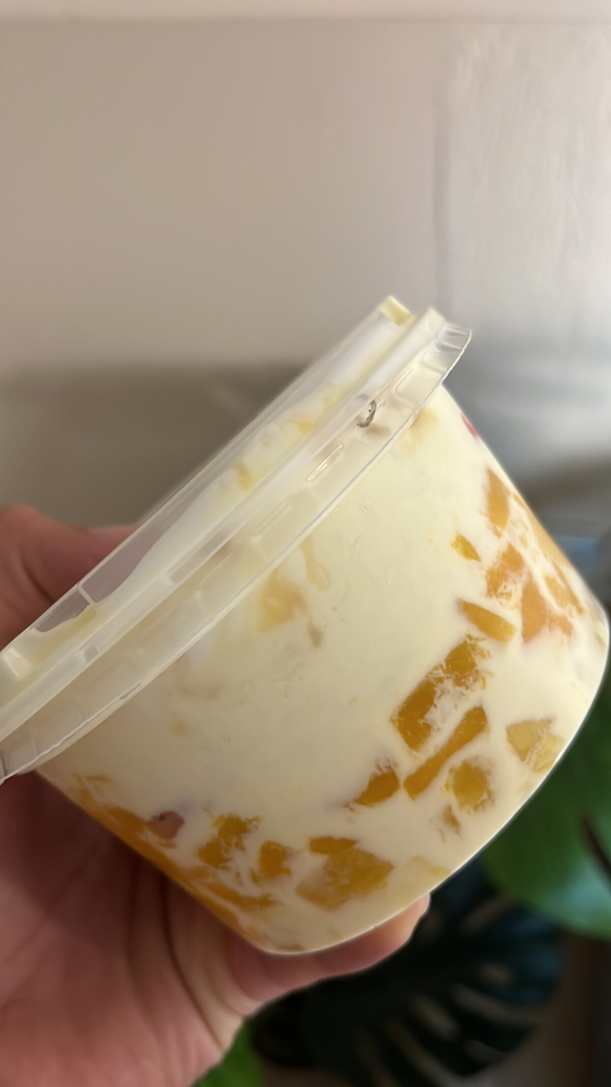 ZaneDawson popularna fotka 4485