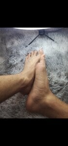 SolRakOF Pies . fénykép