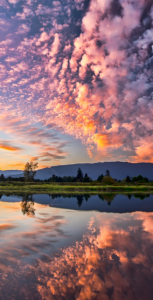 Audrey_Aura beauty that catches you Hình 5