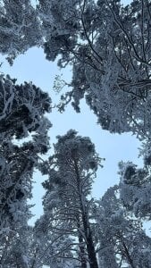 MerlinMeyer 😻😻😻 slika 3