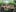 its_amesha Nude in forest Photo 2