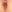 CD-Nian Cock fuck ass Pic 4