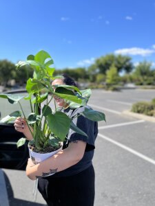 Taste_of_wild Public Pic