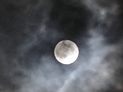 wolfihot33 Public Billede 4