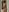 _Eva_Lee For my favorite fan club NEW Pic 6