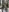 Juanita_OsborneWalking照片 4