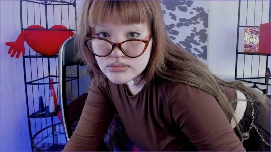 OpalNova Public Foto 5