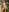 Amber_Luna Have a taste 😈 Foto  5