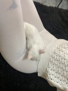 Hannah_xBaby legs &feets 👣👣👣 Pic 8