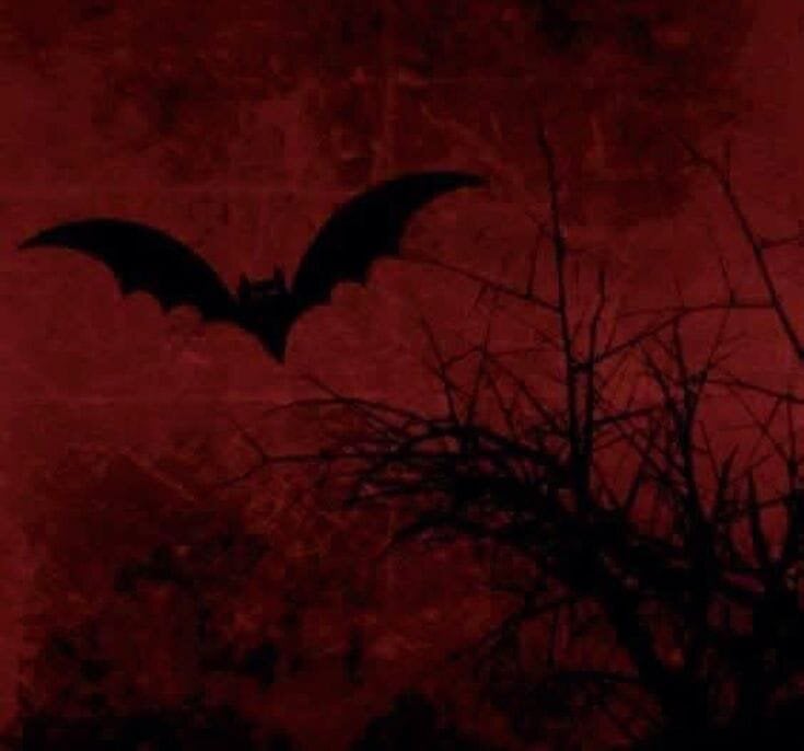 Tracy_lee_ Populära bilder 8467