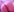 yourfox_Alice my sweet pussy Pic