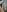 mia_kittten Legs Photo