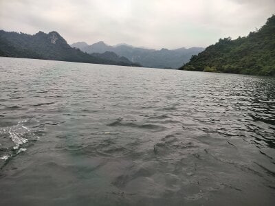 Squirrel-Pear Public Pic