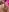 yourprettykate All my naked body Pic