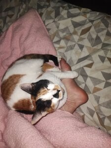 DakotaCandy my sweet babies Pic