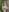 Margo__dream Sensual elf Pic 9