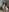 Chloee_Peach NAKED SO VERY HOT😻🍆💦 Pic