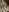 vixendoll87Love my titties 👅👅照片 4