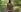 TilaTotti Flashing on a Trail in Public Pic 8