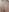 MoonBalloons Sexy nudes Pic 4