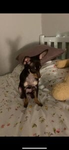 KarynPettas My Maru Foto 2