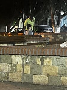 O noooo de roland_alex1  3 photos