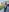 wetnwildforyou 04 GSX-R 1000 Pic 8