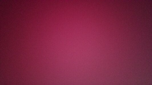 Bear0024 Public Billede