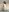 HoneyAndBee2 Foxy hot album for my best fans :3 Pic