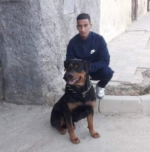 Mafiouzi Gang Immagine 